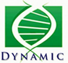 logo Dynamic