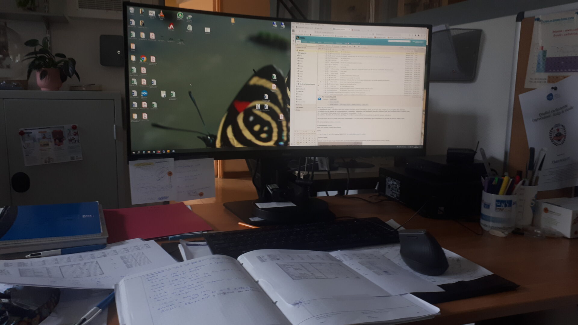 Ecran Bioda moniteur 34 pouces Bioda