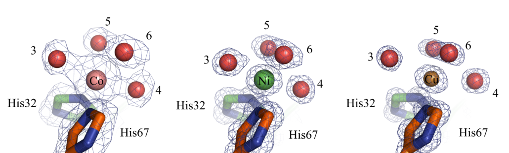 actu-publie-roret-1030x311