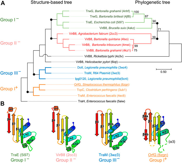 Figure-4-article-orfG-soluble