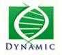 Logo_Dynamic