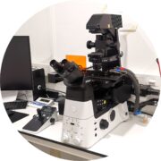 Microscope 2