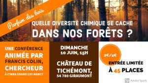 Vignette - [Conférence] Parfum des bois