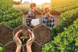 Vignette - Maelab : une start-up pour accélérer les transitions agro-écologique et bioéconomique