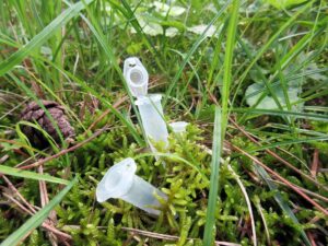 Vignette - Découvrir la recherche en Agronomie et Environnement