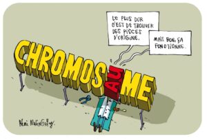 Vignette - Génétique : ne me cassez pas les chromosomes !