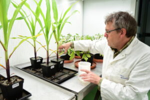 Vignette - [Infra+] Des enceintes climatiques pour la culture maîtrisée des organismes photosynthétiques