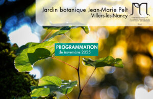 Vignette - Jardin botanique Jean-Marie Pelt Villers-lès-Nancy