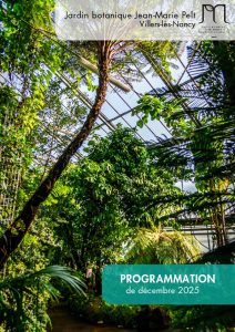 Vignette - Programmation de décembre au jardin botanique