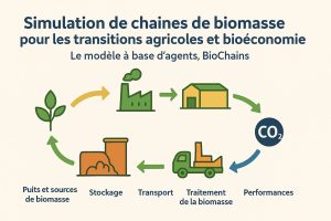Vignette - Simulation de chaînes de biomasse pour les transitions agricoles et bioéconomie: Le modèle à base d’agents, BioChains