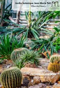 Vignette - Programmation de janvier au jardin botanique