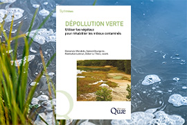Vignette - Dépollution verte : Utiliser les végétaux pour réhabiliter les milieux contaminés