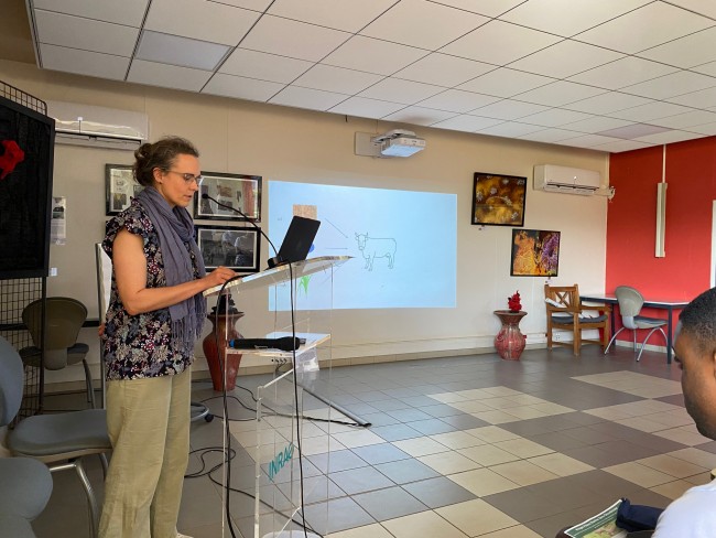 Une semaine aux Antilles bien remplie