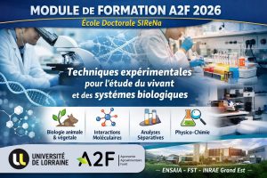 Vignette - Module de formation A2F 2026 – École Doctorale SIReNa