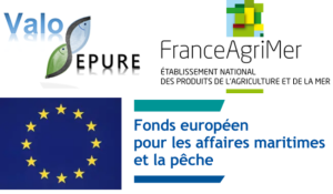 Vignette - Programme FEAMPA ValoSEPURE : Actions de communication sur la gestion et la valorisation des étangs piscicoles