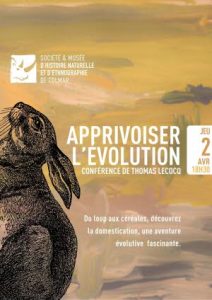 Vignette - Apprivoiser l&rsquo;évolution