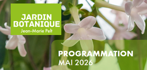 Vignette - Programmation du mois de mai 2026 du Jardin botanique Jean-Marie Pelt