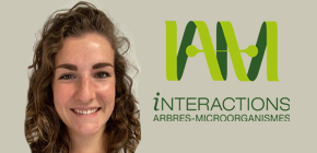 Vignette - Résultats prix de thèse UL-2026