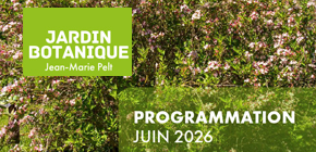 Vignette - Programmation du mois de juin 2026 du Jardin botanique Jean-Marie Pelt
