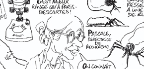 Vignette - Tiques en Stock (IAM)
