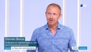Vignette - Cyanobactéries en Lorraine : l’expertise du L2A sollicitée par les médias régionaux
