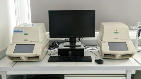 qPCR